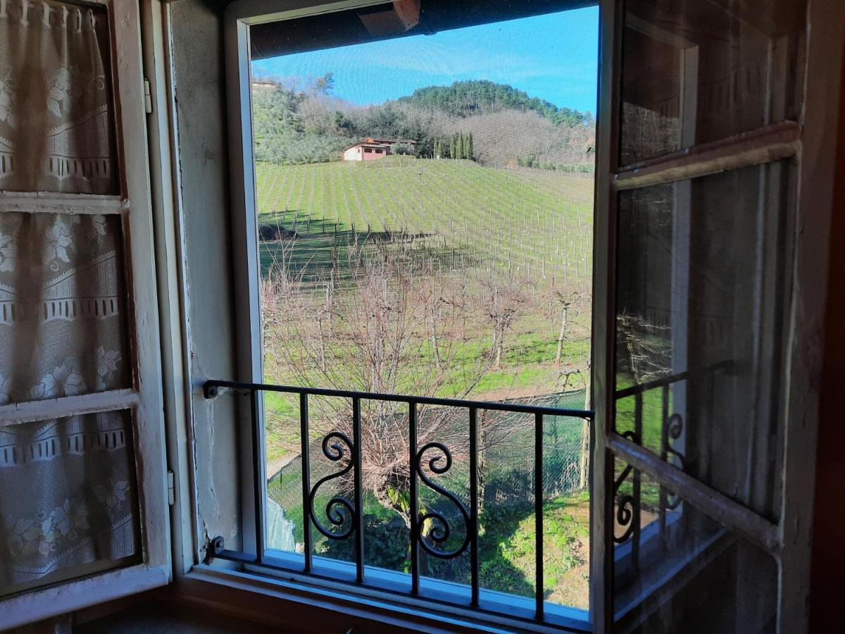 Agriturismo Tenuta Adamo Lucca Exterior photo